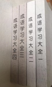 ​踌躇满志怎么读（踌躇满志的意思）