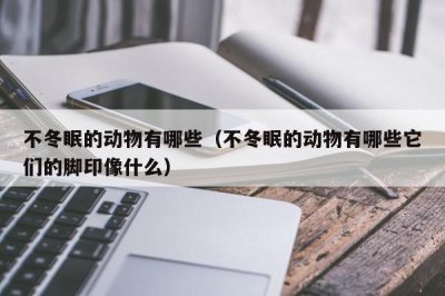 ​不冬眠的动物有哪些（不冬眠的动物有哪些它们的脚印像什么）