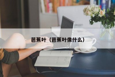 ​芭蕉叶（芭蕉叶像什么）