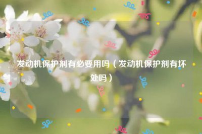 ​发动机保护剂有必要用吗（发动机保护剂有坏处吗）