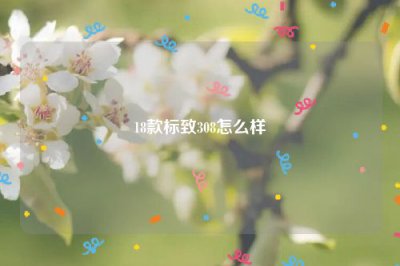 ​18款标致308怎么样