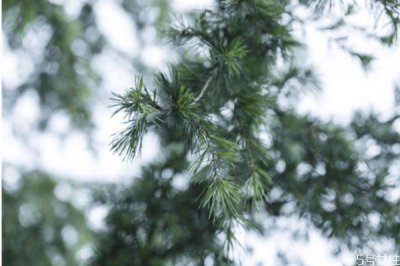 ​新婚夫妻长期分居两地怎么办 分居怎么挽救婚姻