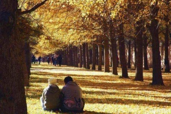 出轨的男人会回头吗 男人出轨不离婚是爱妻子吗