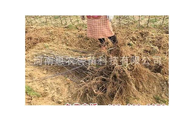 老婆出轨跟别人跑了怎么办,老婆出轨,怎么处理? 老婆出轨跟别人跑了怎么办,老婆出轨,怎么处理?