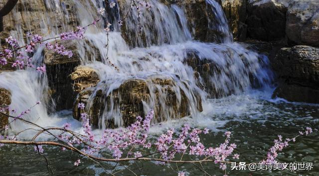 李白赠汪伦全文赏析(忽闻岸上踏歌声)(4)