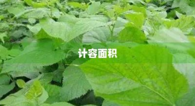 ​计容面积(计容面积包括哪些)