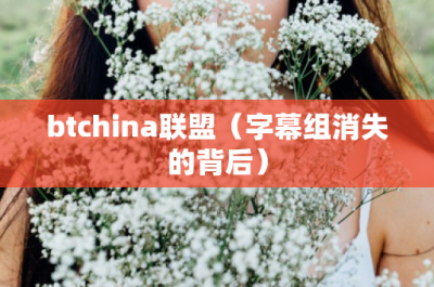 ​btchina联盟（字幕组消失的背后）