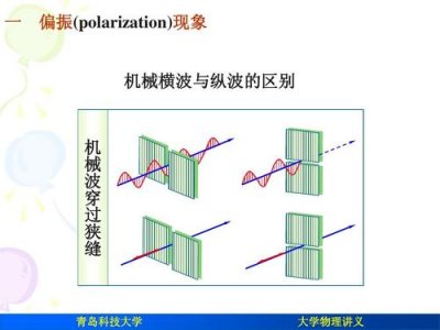 横波和纵波的区别(横波和纵波的区别是什么)