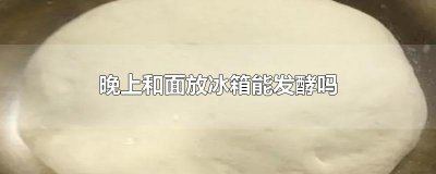 晚上和面放冰箱能发酵吗