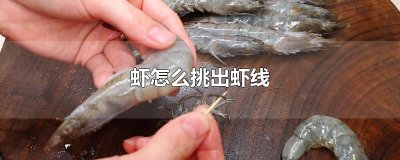 虾怎么挑出虾线