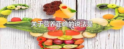 关于营养正确的说法是
