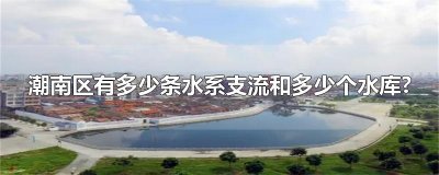 潮南区有多少条水系支流和多少个水库?