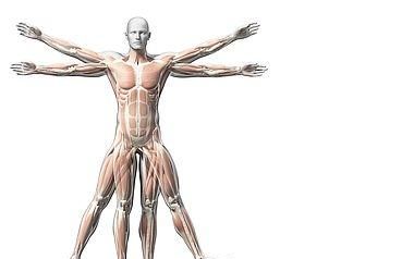 人的生命由哪些因素构成,人的命运是由什么决定的?你怎么看?图7