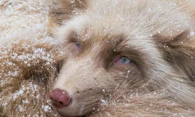 人的生命由哪些因素构成,人的命运是由什么决定的?你怎么看?图5