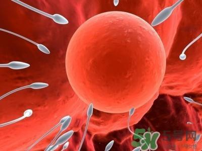 女性排卵全过程图解 排卵有什么症状或感觉 女性排卵全过程图解 排卵有什么症状或感觉