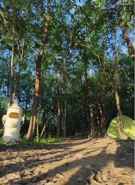 北京市区露营(北京露营地点推荐)