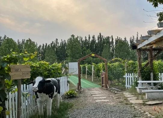 北京市区露营(北京露营地点推荐)