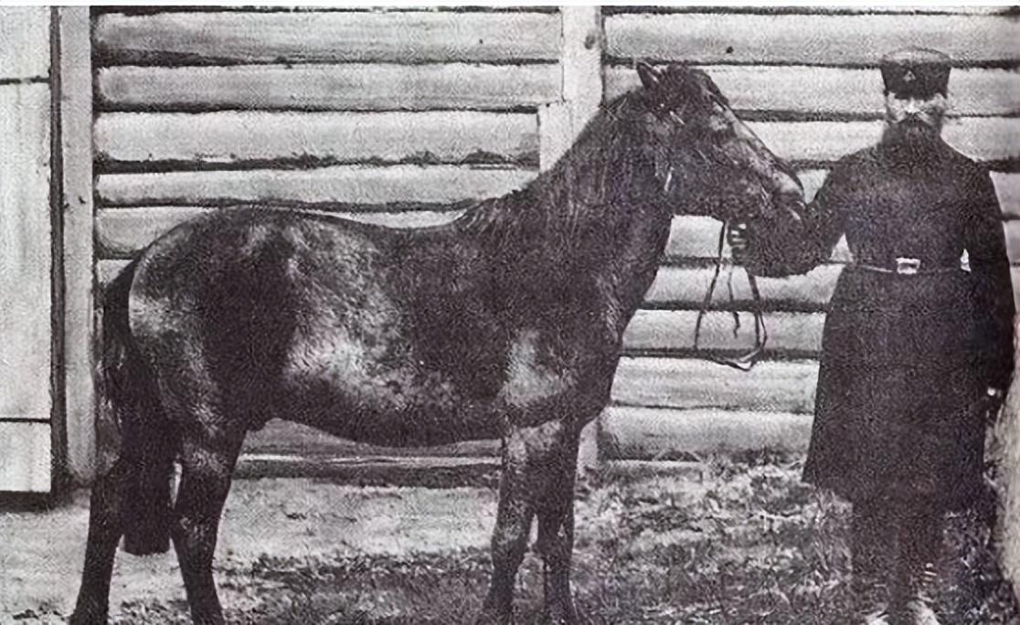 已经灭绝的几种动物(已经灭绝的动物有哪些)