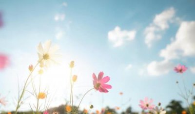 ​后背长很多痘痘是什么原因？后背长痘痘