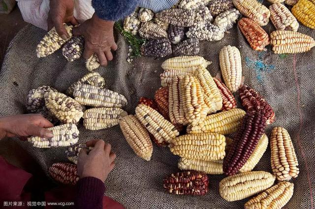 秘鲁介绍(秘鲁是怎样一个国家)(4)