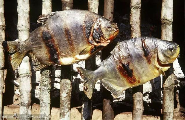 秘鲁介绍(秘鲁是怎样一个国家)(2)