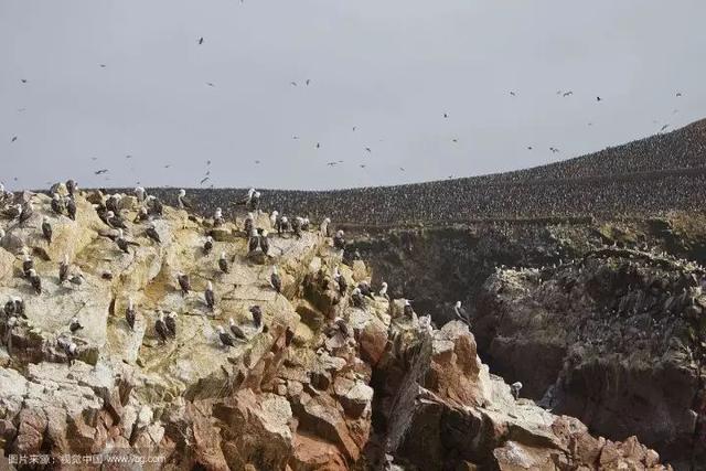 秘鲁介绍(秘鲁是怎样一个国家)(18)