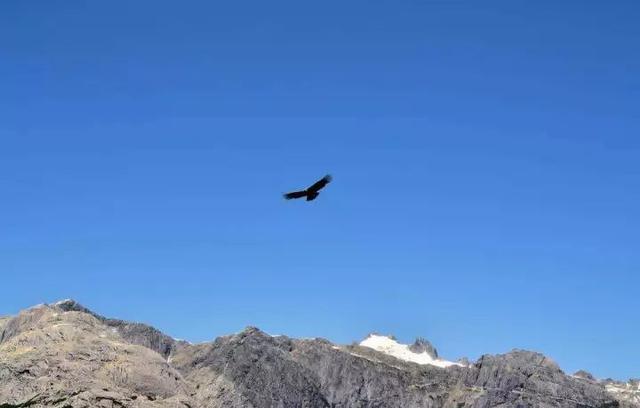 秘鲁介绍(秘鲁是怎样一个国家)(9)