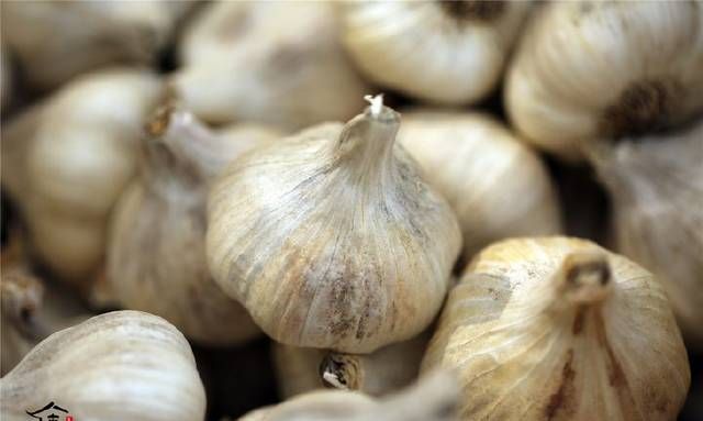 大蒜能不能放冰箱