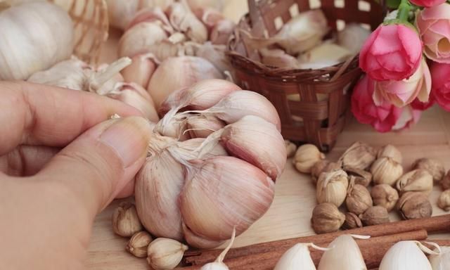 大蒜可以放冰箱冷藏吗