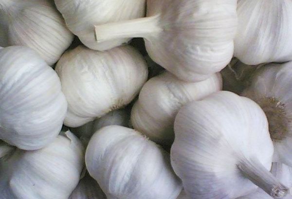 大蒜能放冰箱保存,大蒜能不能放冰箱图4