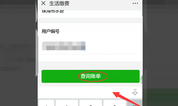 水电费的账单在手机上怎么查询,手机上怎么查电费明细图15