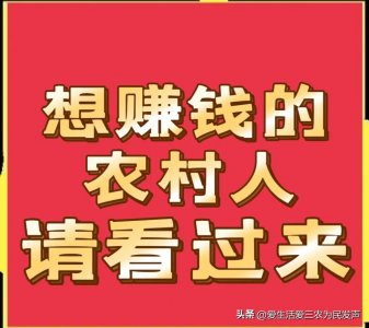 ​种植什么好呢(荒地种植什么好？)