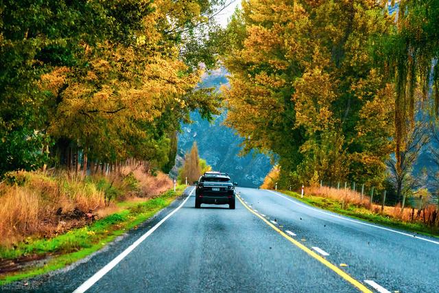 离婚率越来越高的三大原因是什么 离婚率越来越高(4)