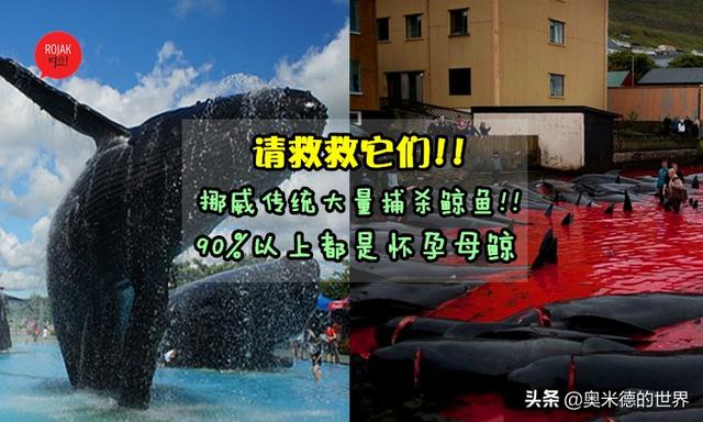 挪威这个国家有多大（人类发展指数第一的）(17)