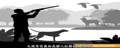 ​鸭舌帽的起源