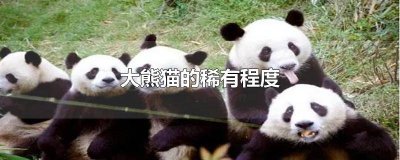​大熊猫有多稀少 小熊猫稀有还是大熊猫稀有