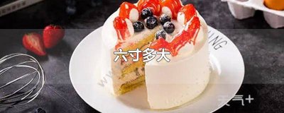 ​蛋糕六寸有多大? 六寸蛋糕大约多大图片