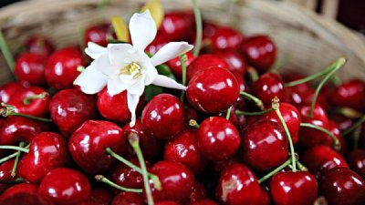 ​JJ级车厘子有多大