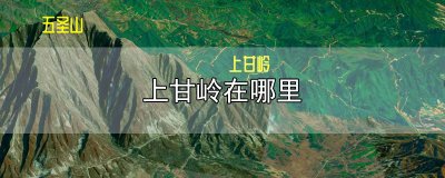 ​上甘岭在哪里