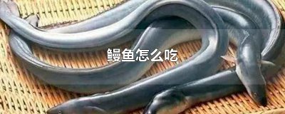​鳗鱼怎么吃