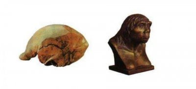 ​失踪78年的北京人头盖骨到底藏在哪？