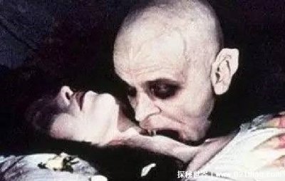 ​95年上海吸血鬼事件真相 真的有吸血鬼的存在吗？