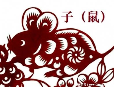 ​96年属什么的生肖，生肖鼠(属鼠最配的三个生肖)