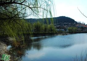 初春什么时候可以钓鱼?初春钓鱼技巧 初春什么时候可以钓鱼?初春钓鱼技巧