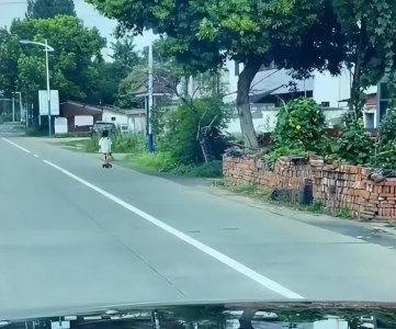 ​老婆一生气就离家出走怎么办（独自踩滑板离家出走）