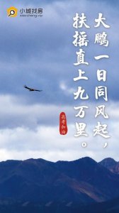 ​大鹏一日同风起,扶摇直上九万里（鲲鹏展翅九万里）