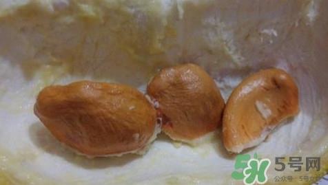 榴莲核有毒吗?榴莲核有什么作用 榴莲核有毒吗?榴莲核有什么作用