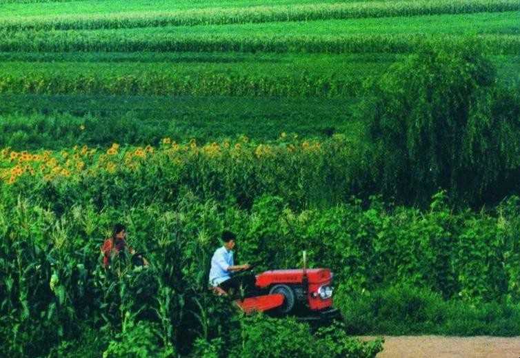 什么是农林牧渔