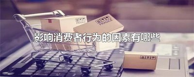 ​影响消费者行为的因素有哪些