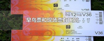​早鸟票和正常票有什么区别 早鸟票和预售票进场之后有什么区别